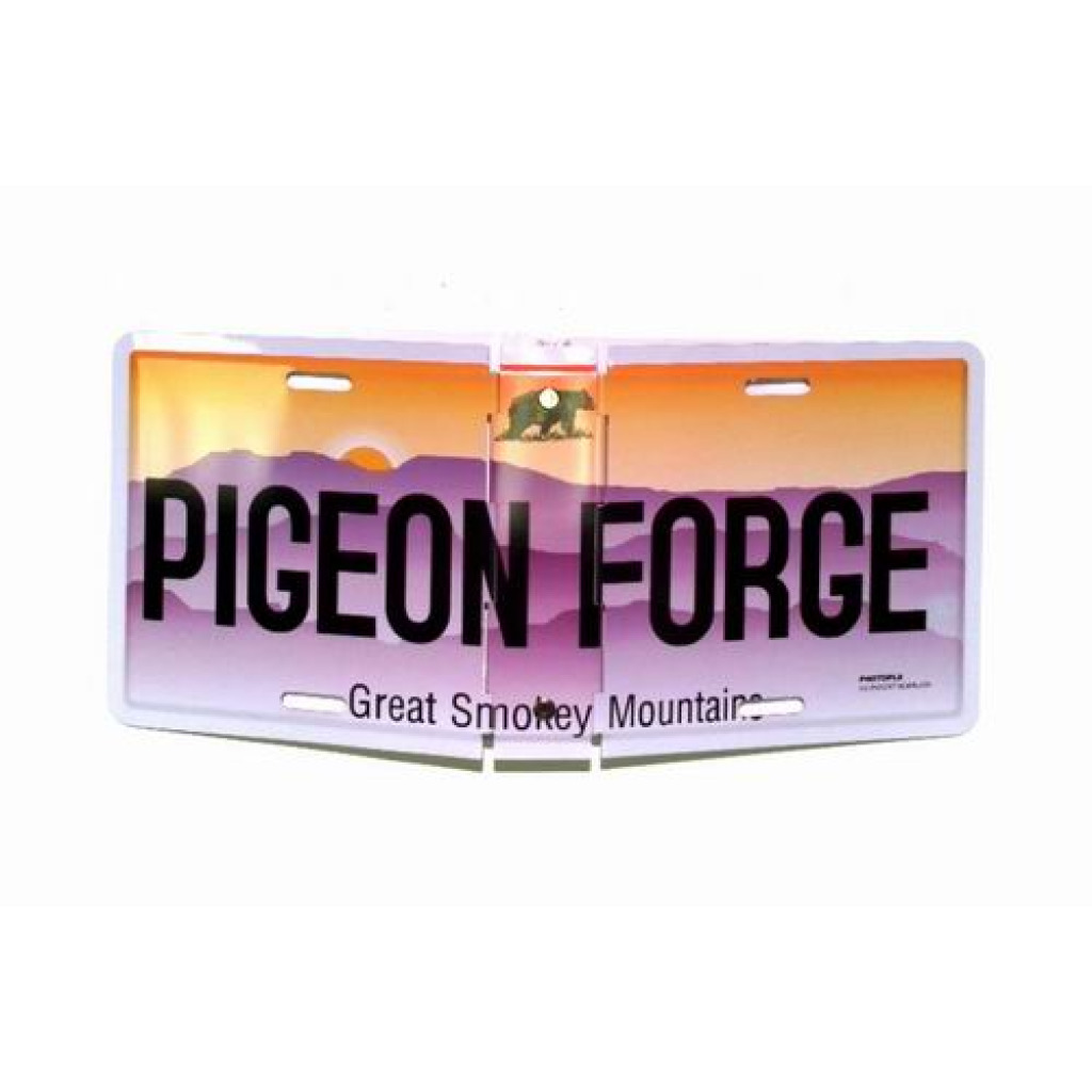 buy-pigeon-forge-folding-metal-license-plate-photo-album-holds-4-x-6-photos-cheap-h-j