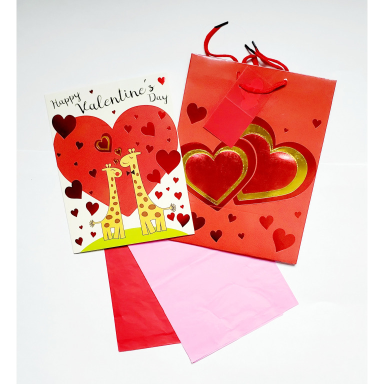 Buy Assorted Valentine's Day 10&quot; Gift Bag Sets - Only $1.75/Set Cheap