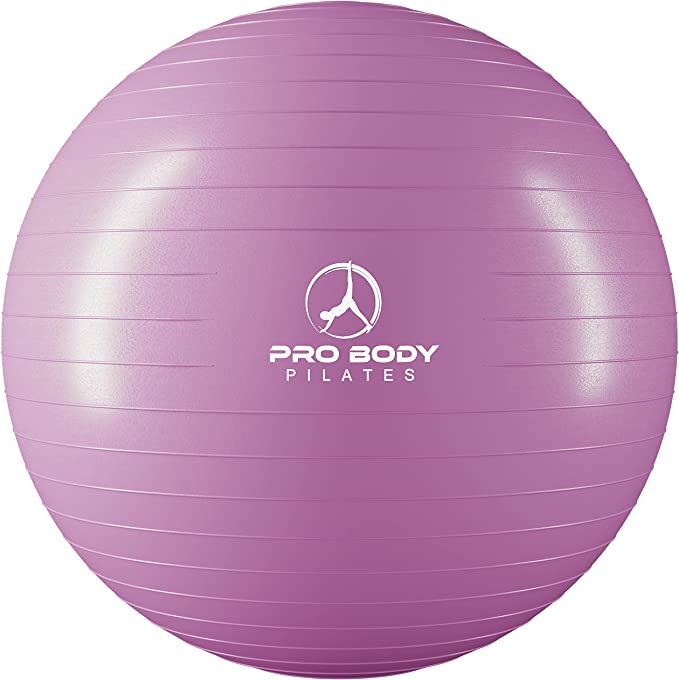  ProBody Pilates Yoga Ball Chair - Exercise Ball Chair